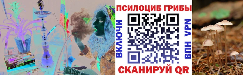 KRAKEN как войти  Кондрово  Псилоцибиновые грибы мухоморы 